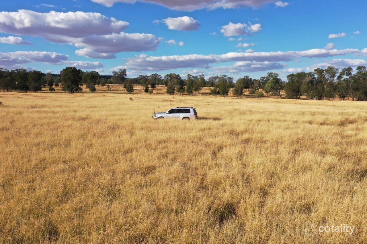 1522 Mirrabooka Rd, Muckadilla, QLD 4461