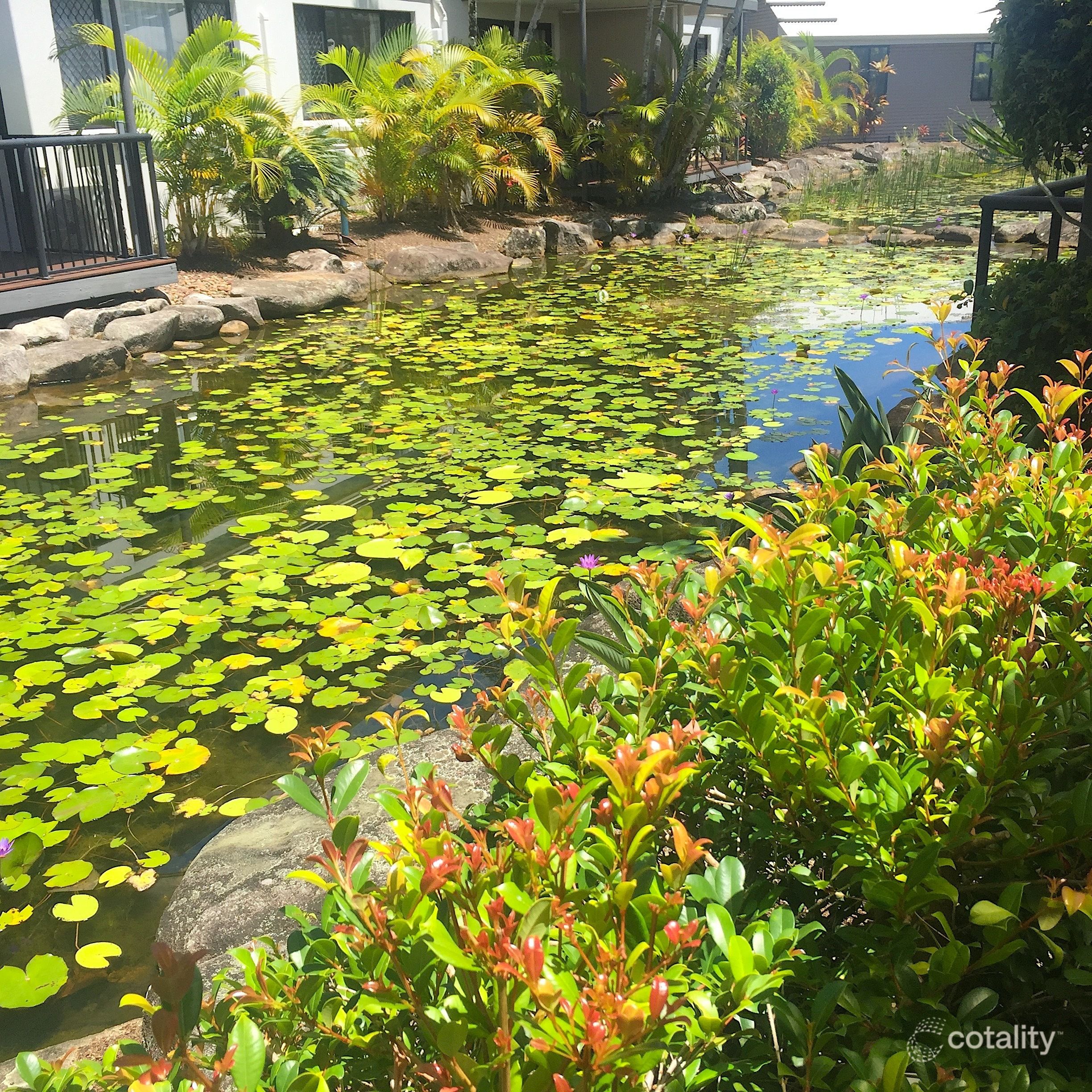 40/73 Hilton Tce, Noosaville, QLD 4566