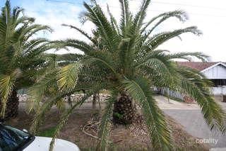 491 Victoria Rd, Osborne, SA 5017