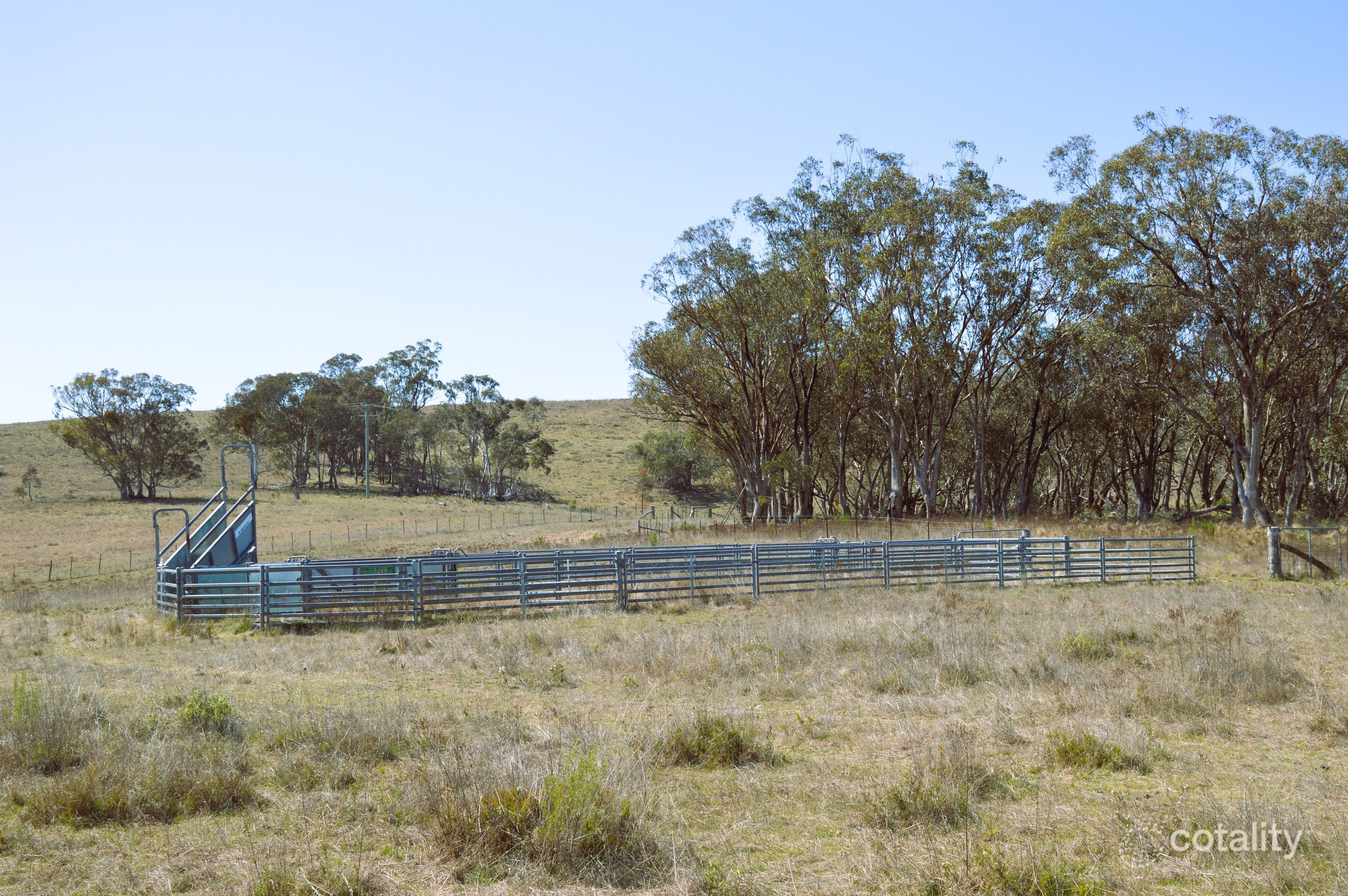 1453 Windeyer Rd, Windeyer, NSW 2850