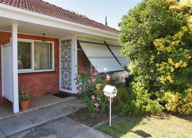 5/49 Maxwell Tce, Glengowrie, SA 5044