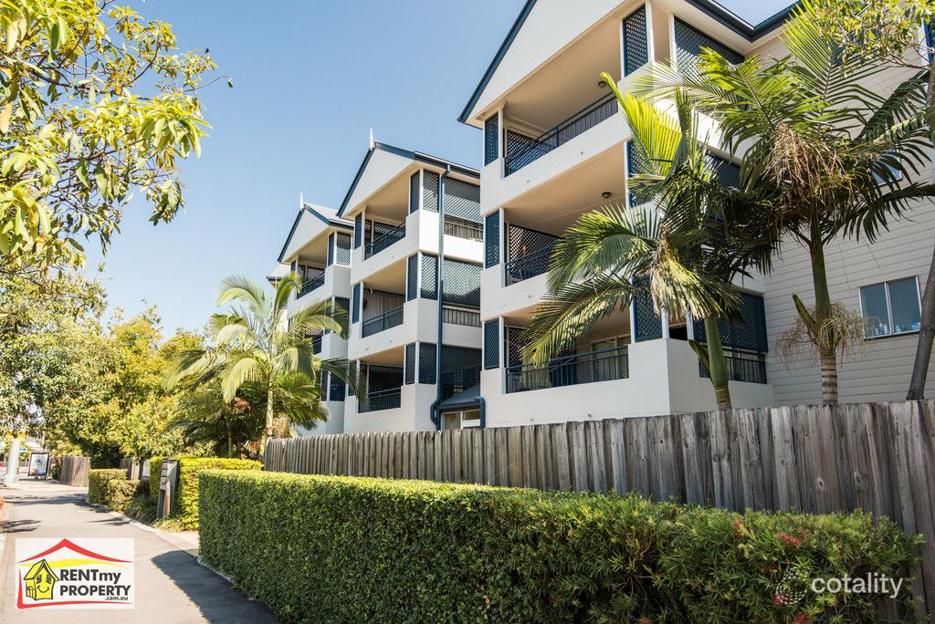 16/239 Shafston Ave, Kangaroo Point, QLD 4169