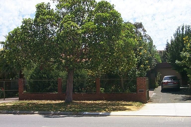 53 Francis Ave, Karrinyup, WA 6018