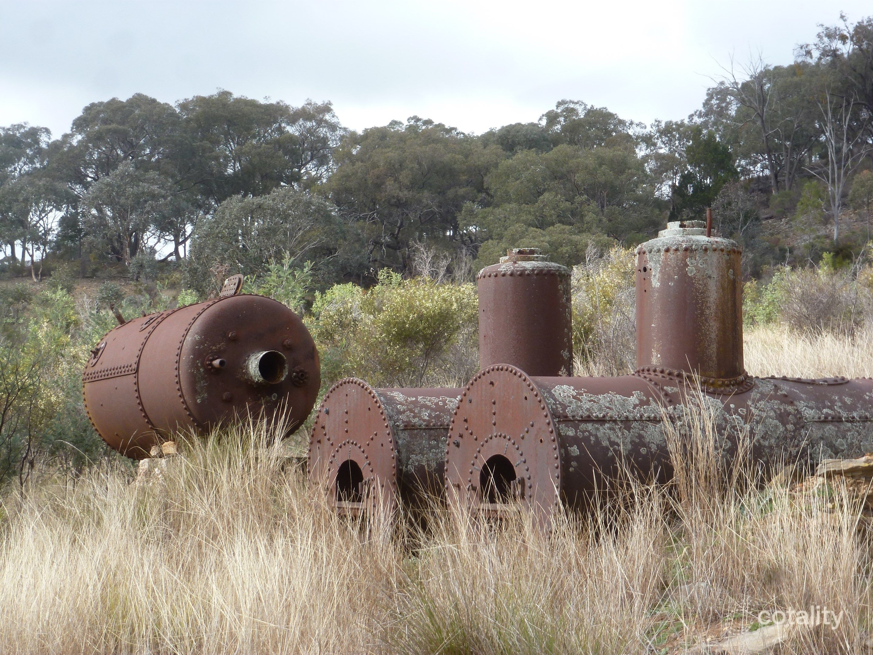 3163 Taylors Flat Rd, Reids Flat, NSW 2586