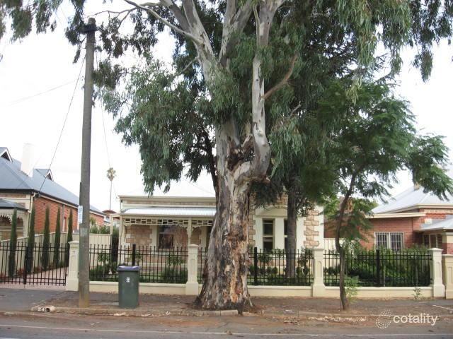 24 Grant Ave, Rose Park, SA 5067