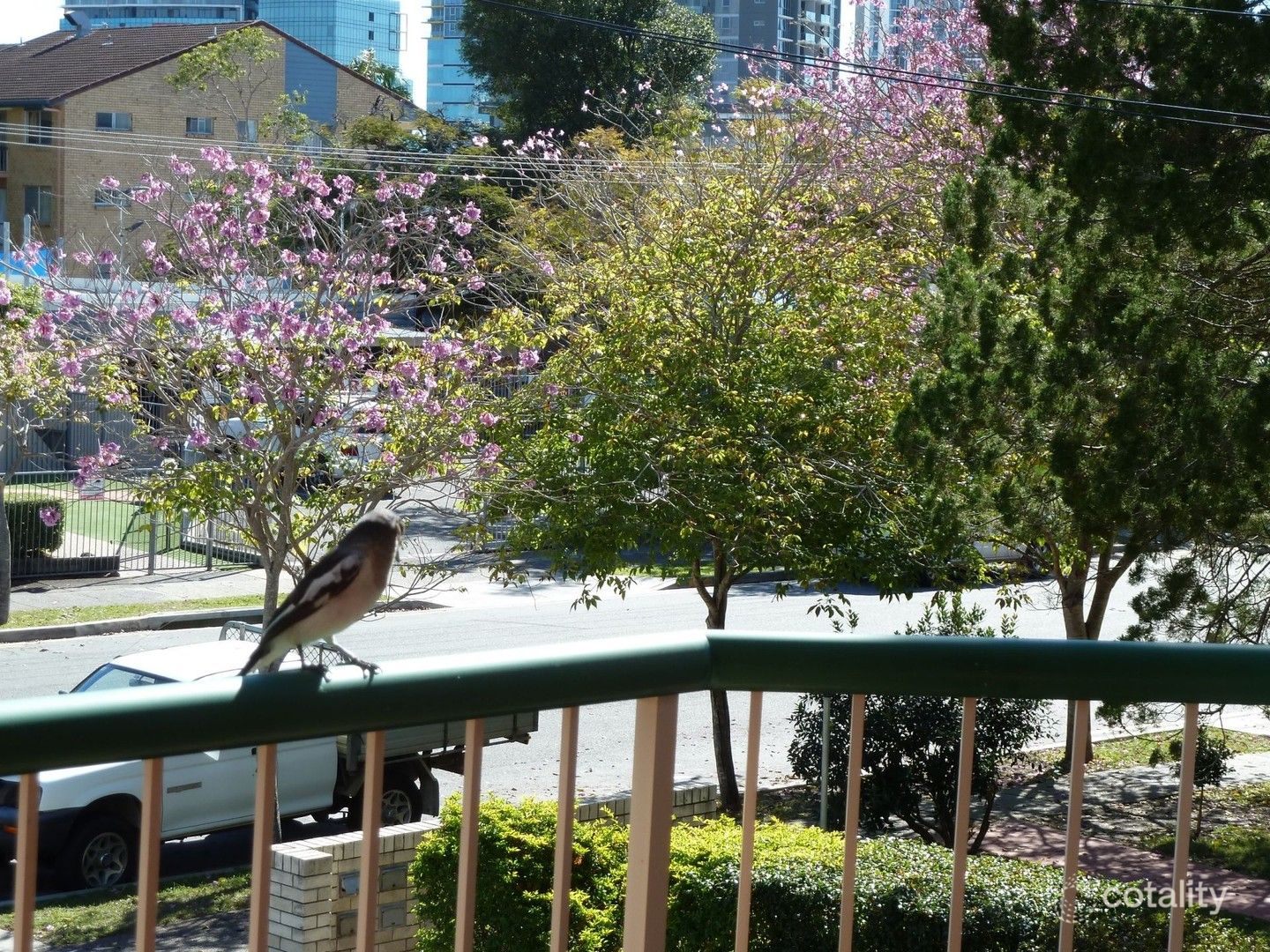 8/61 Bauer St, Southport, QLD 4215