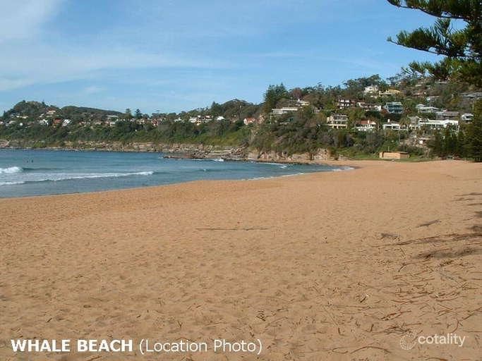 23 Rayner Rd, Whale Beach, NSW 2107