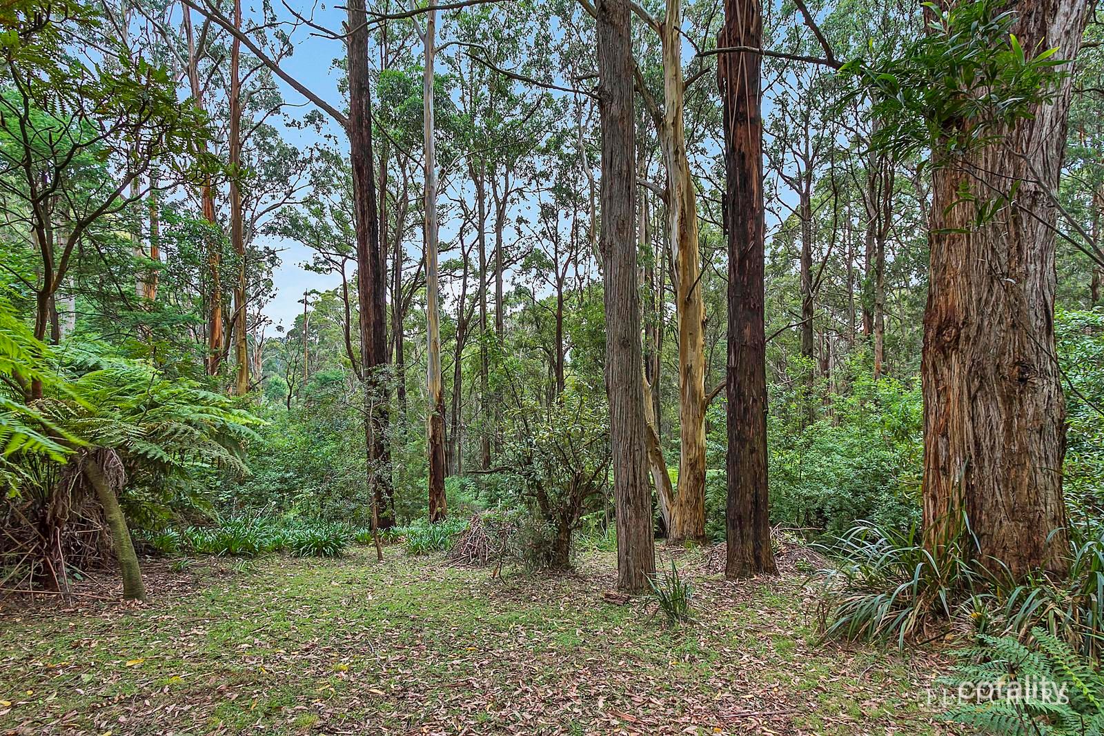 9 Doughtys Rd, Kalorama, VIC 3766