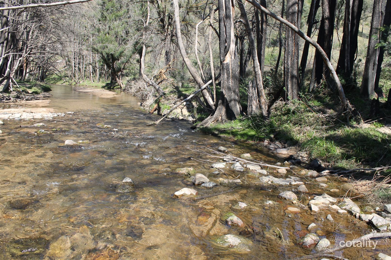 5305 Araluen Rd, Neringla, NSW 2622