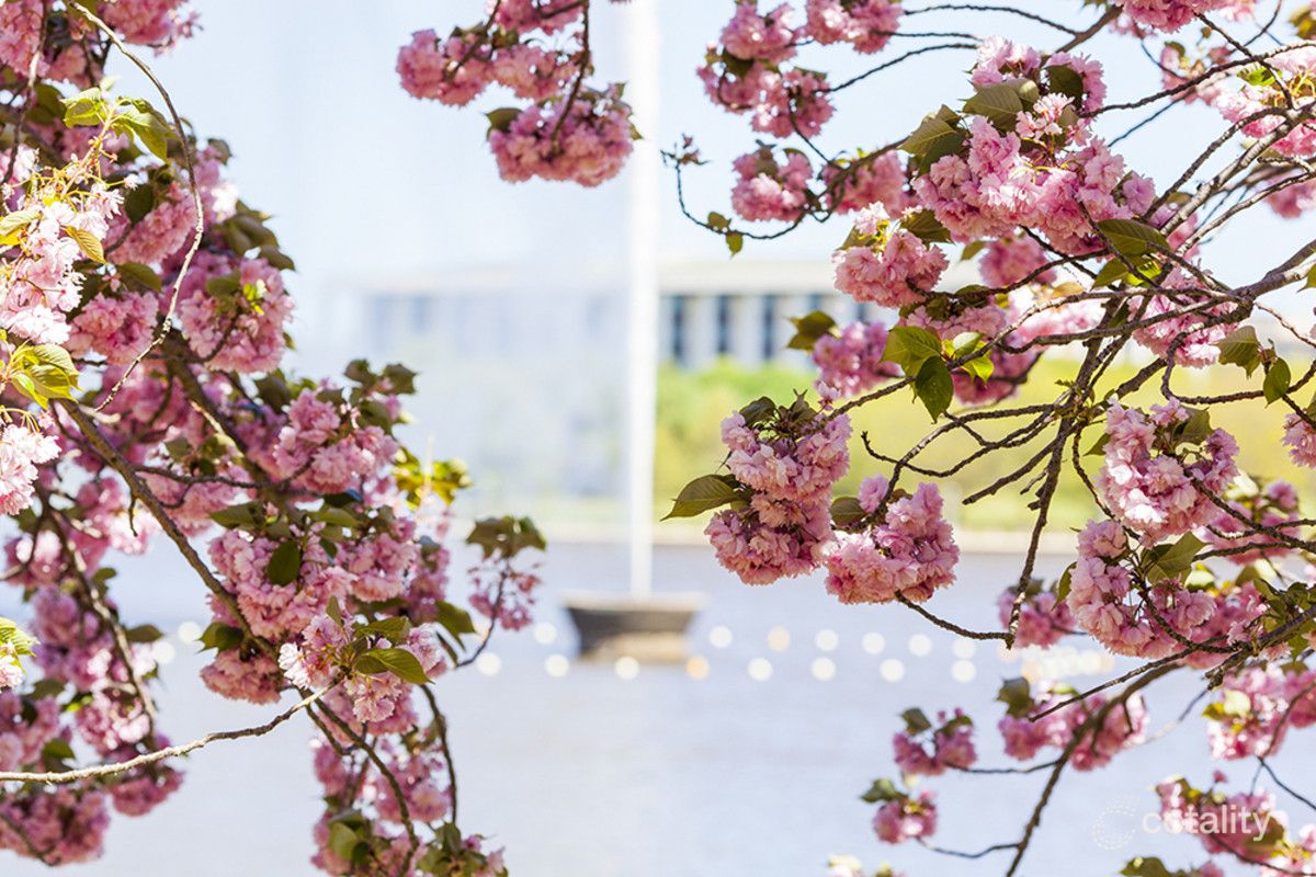 130/116 Easty St, Phillip, ACT 2606