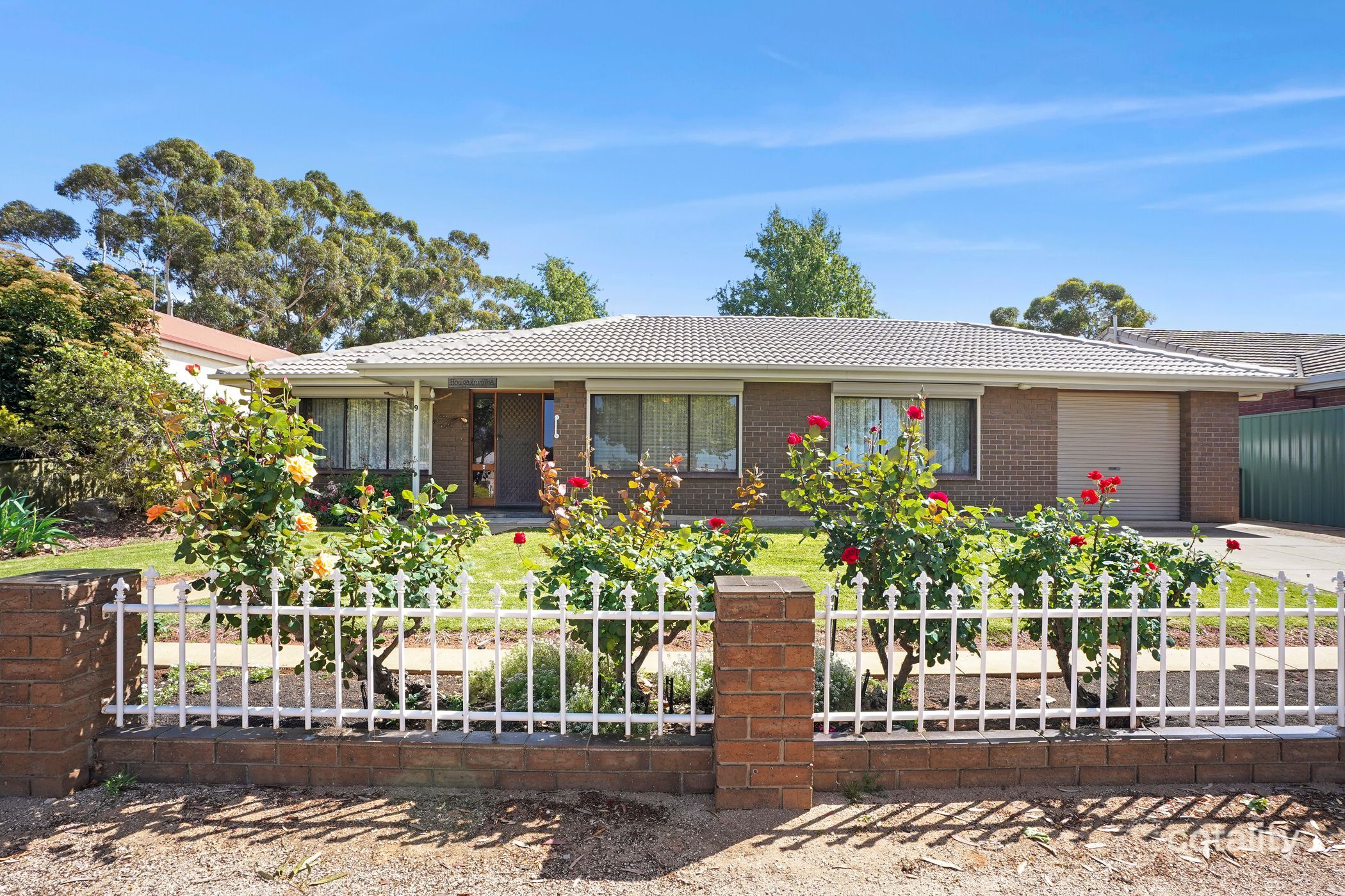 9 Scott Ave, Barmera, SA 5345