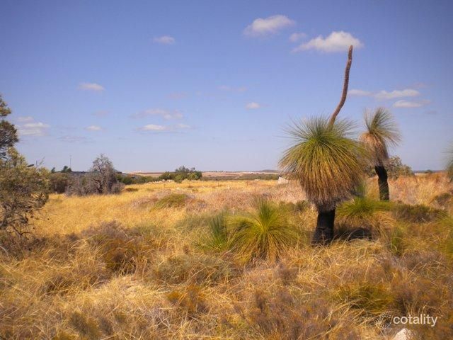 28 Zamia Pl, Gabbadah, WA 6041