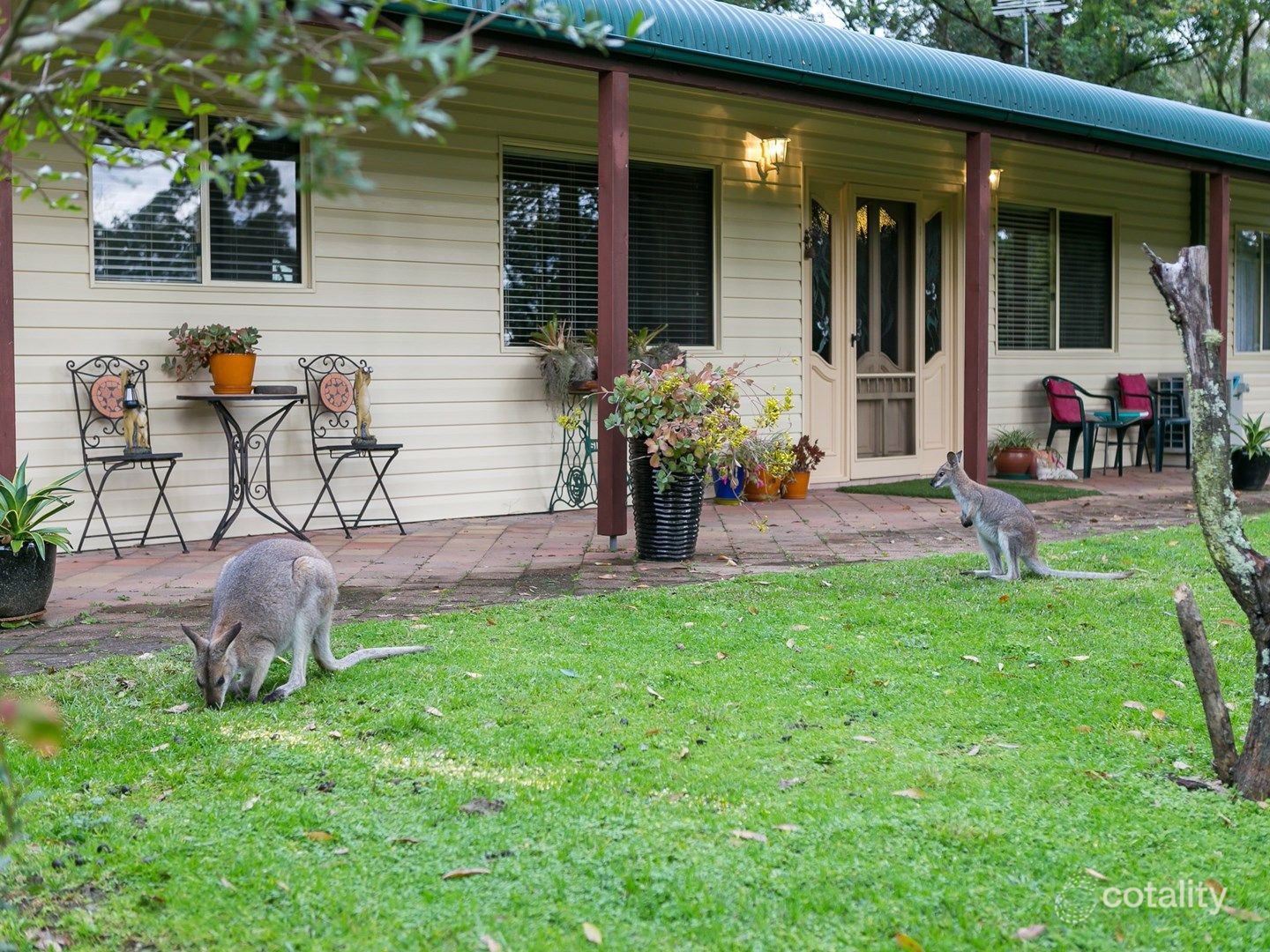 114 Bede St, Stroud, NSW 2425