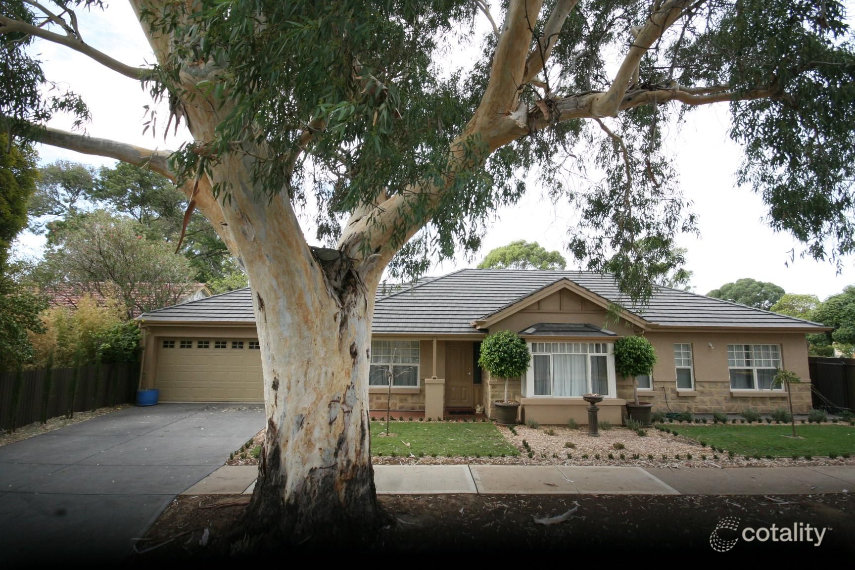 1 Bassi St, Marion, SA 5043