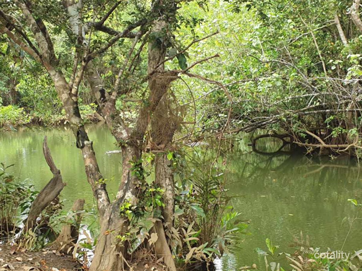Lot 69 Louis Rd, South Innisfail, QLD 4860