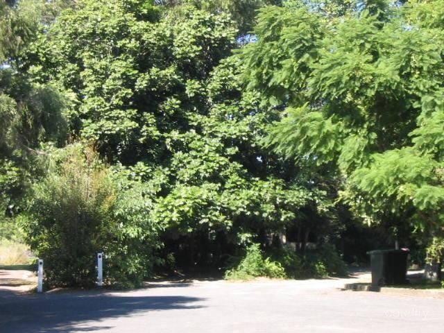 25 Rudder St, East Kempsey, NSW 2440