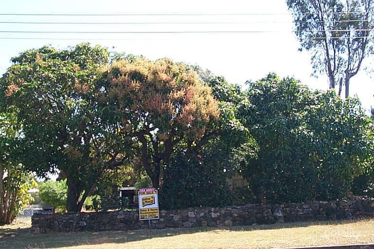 225 Horton St, Koongal, QLD 4701