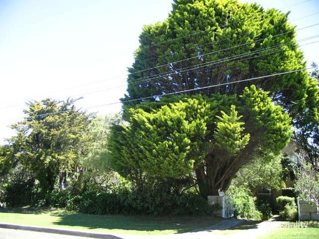 69 Gordon St, Clontarf, NSW 2093