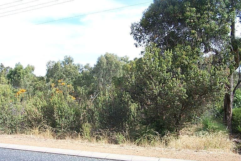 3 Urch Rd, Kalamunda, WA 6076