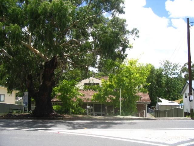 18 Renwick St, Wyoming, NSW 2250