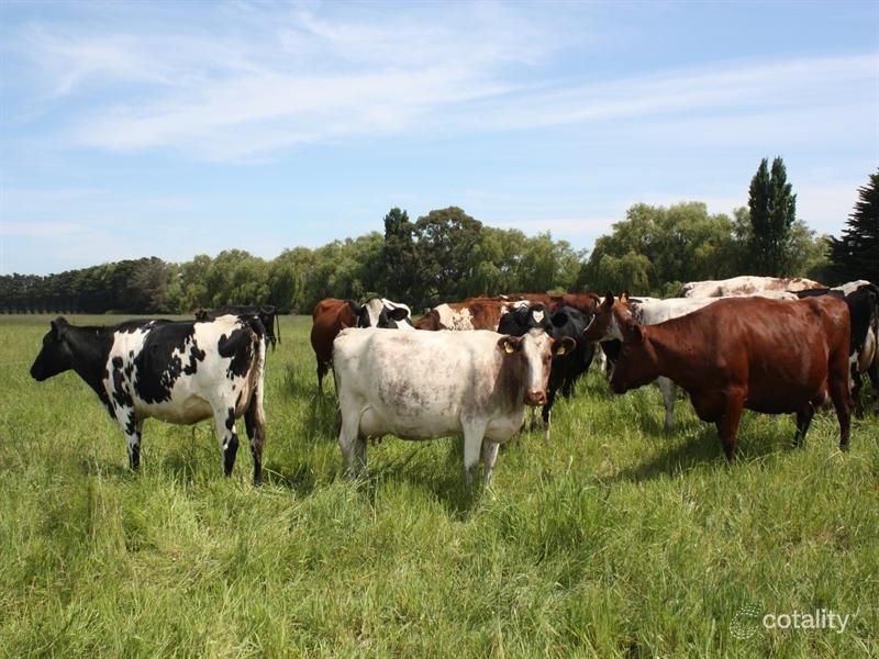 469 Gallum Rd, Cooriemungle, VIC 3268