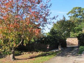 9 Adams St, Frenchs Forest, NSW 2086