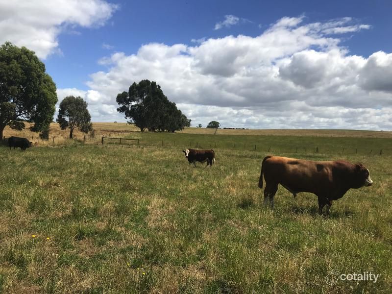 Lot 114 Hill Rd, Yahl, SA 5291