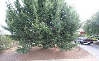 2/141 The Cove Rd, Hallett Cove, SA 5158