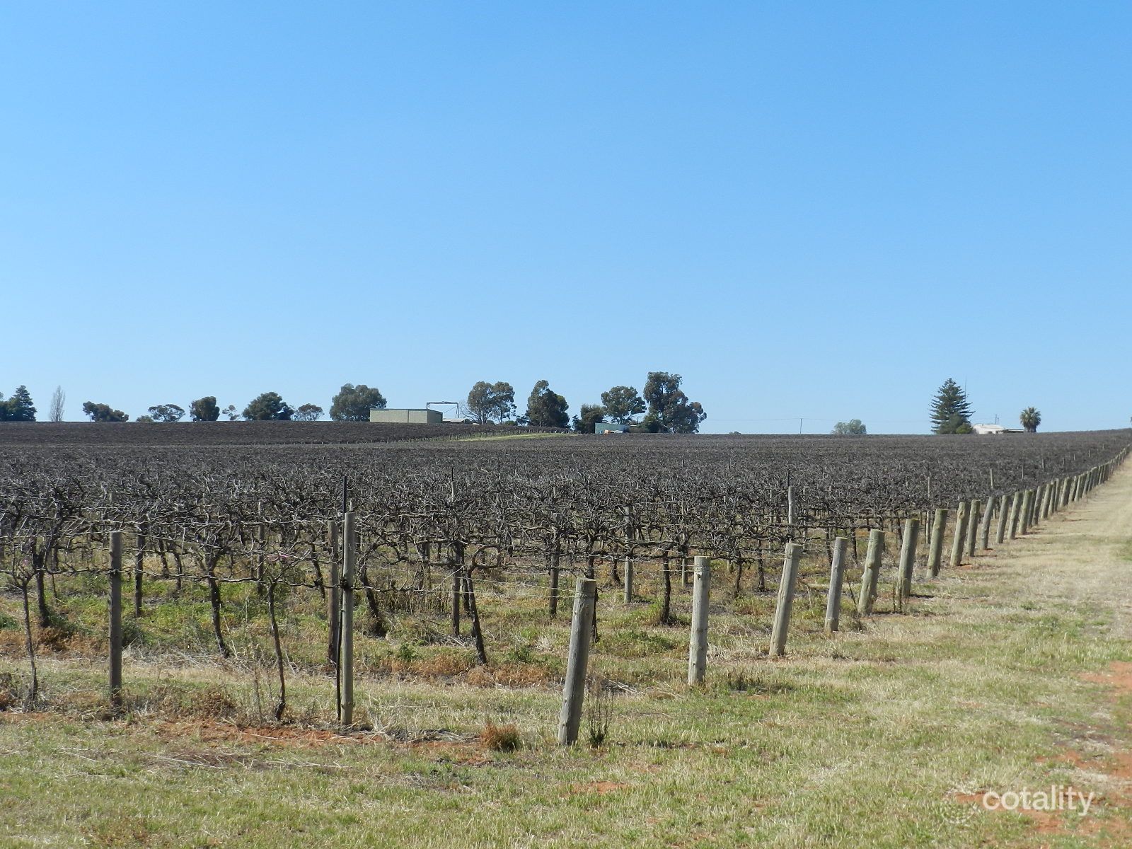 121 Elephant Trunk Rd, Cobdogla, SA 5346