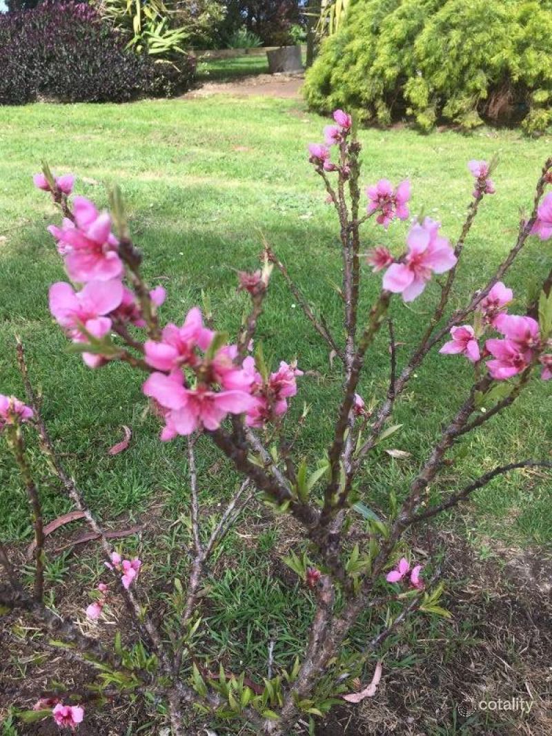 380 Lake View Rd, Koroit, VIC 3282