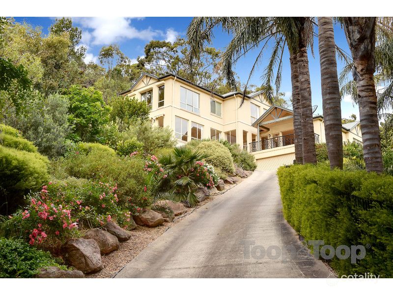 61 Wyfield St, Wattle Park, SA 5066