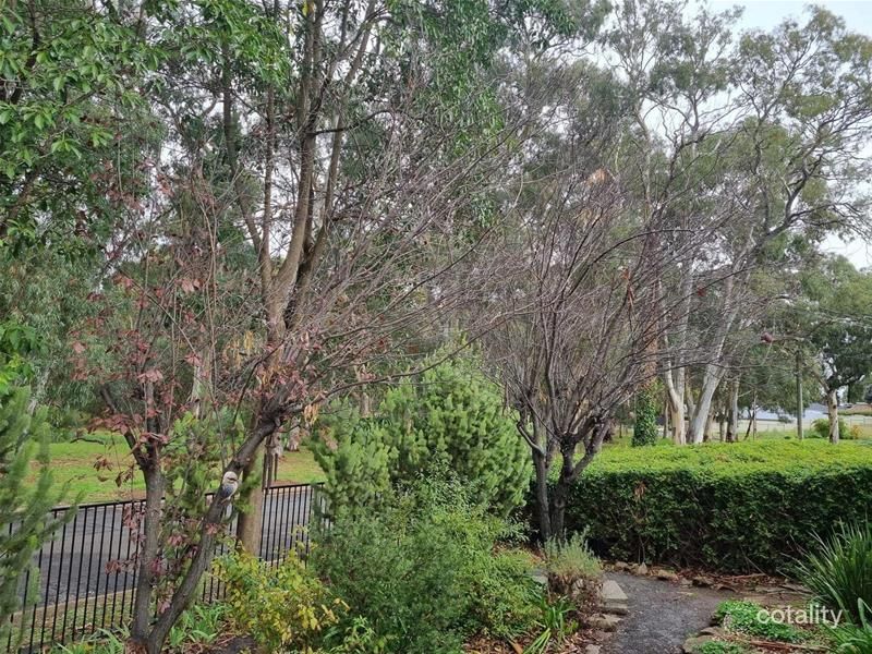 16 Shannon Rise, Banksia Park, SA 5091