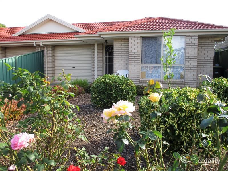 71b Norrie Ave, Clovelly Park, SA 5042