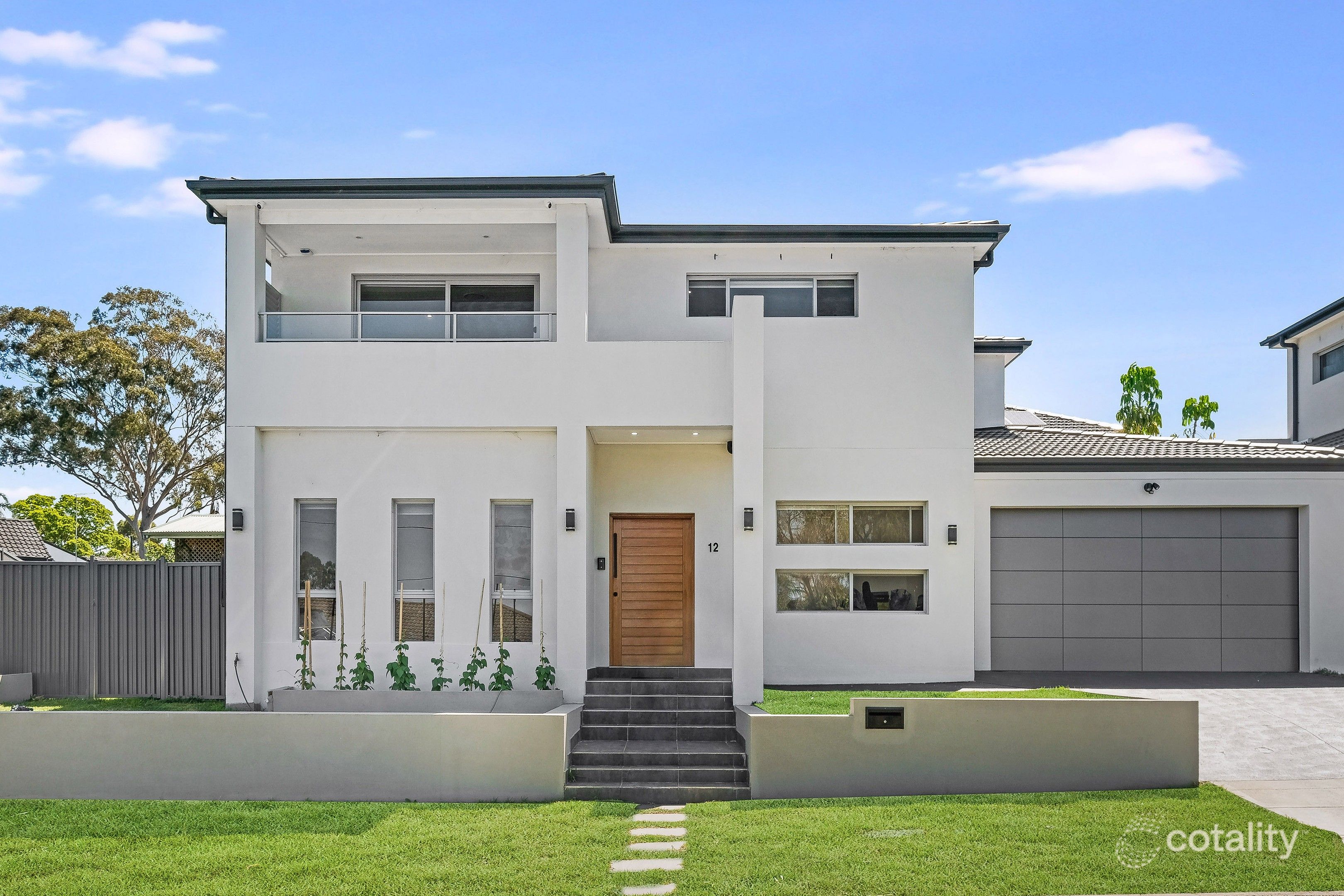 12 Ashton Ave, Chester Hill, NSW 2162