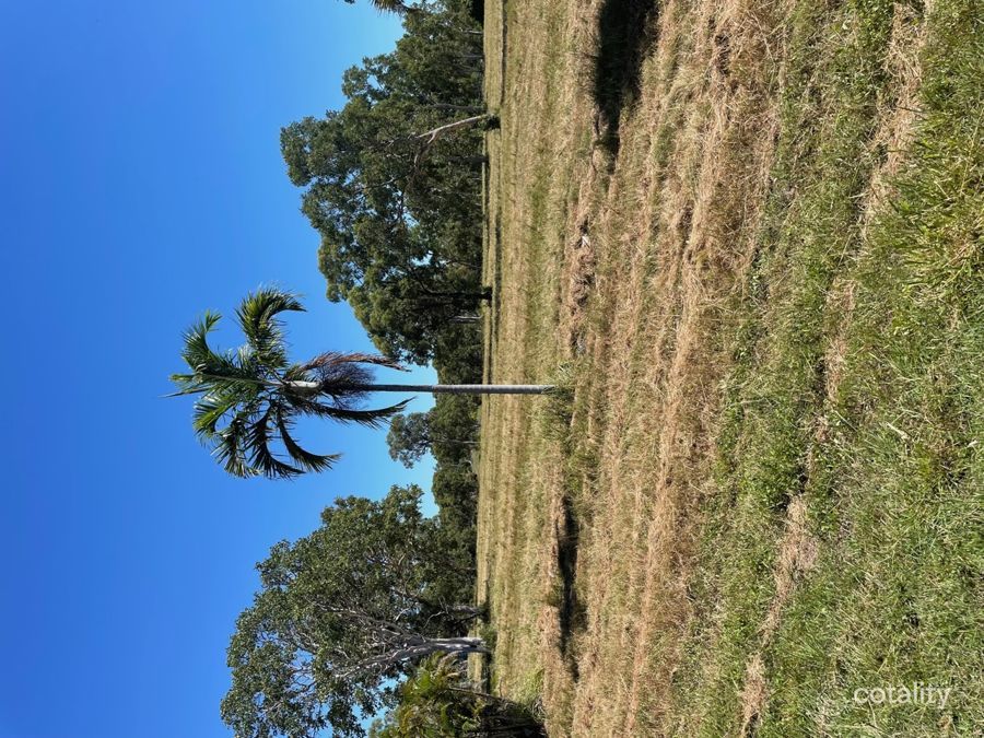 43 Conder Pde, Midge Point, QLD 4799