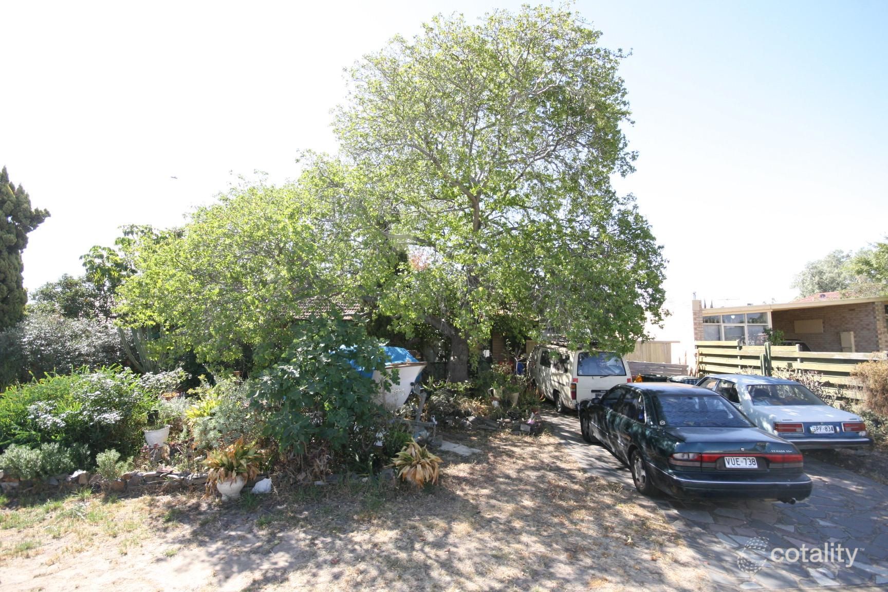 30 Mawson Cres, Lockleys, SA 5032