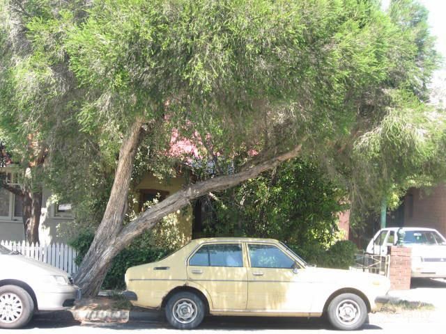 124 Mansfield St, Thornbury, VIC 3071