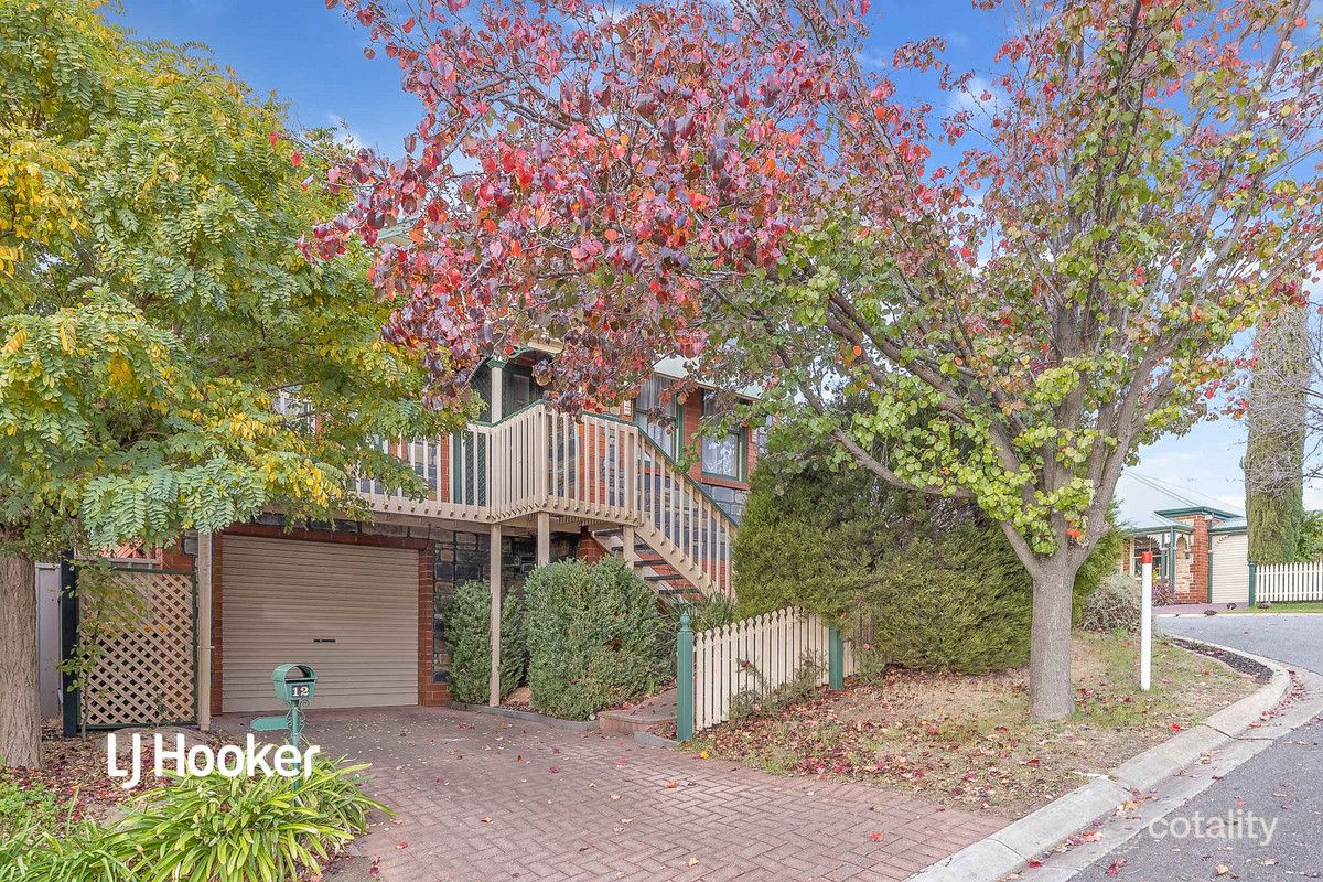 12 Thistleton Ct, Greenwith, SA 5125