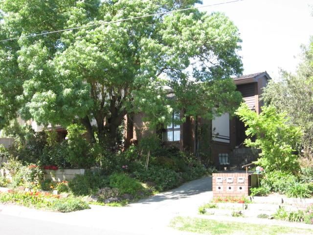 2/6 Avondale Gr, Mount Waverley, VIC 3149