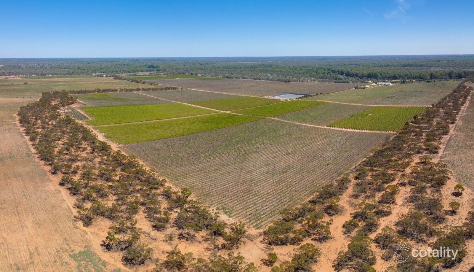2756 Tapalin Mail Rd, Euston, NSW 2737