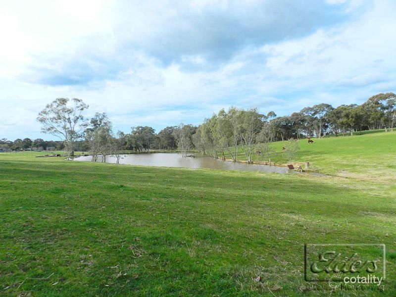 403 Mandurang South Rd, Mandurang South, VIC 3551
