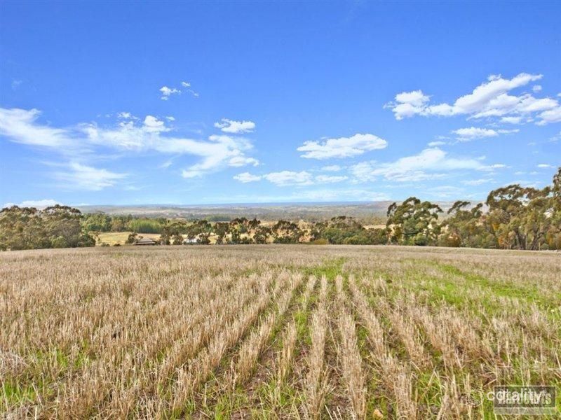 209 Moppa Rd, Nuriootpa, SA 5355
