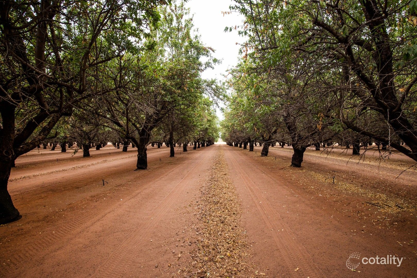 2767 Hunter Rd, Swan Reach, SA 5354