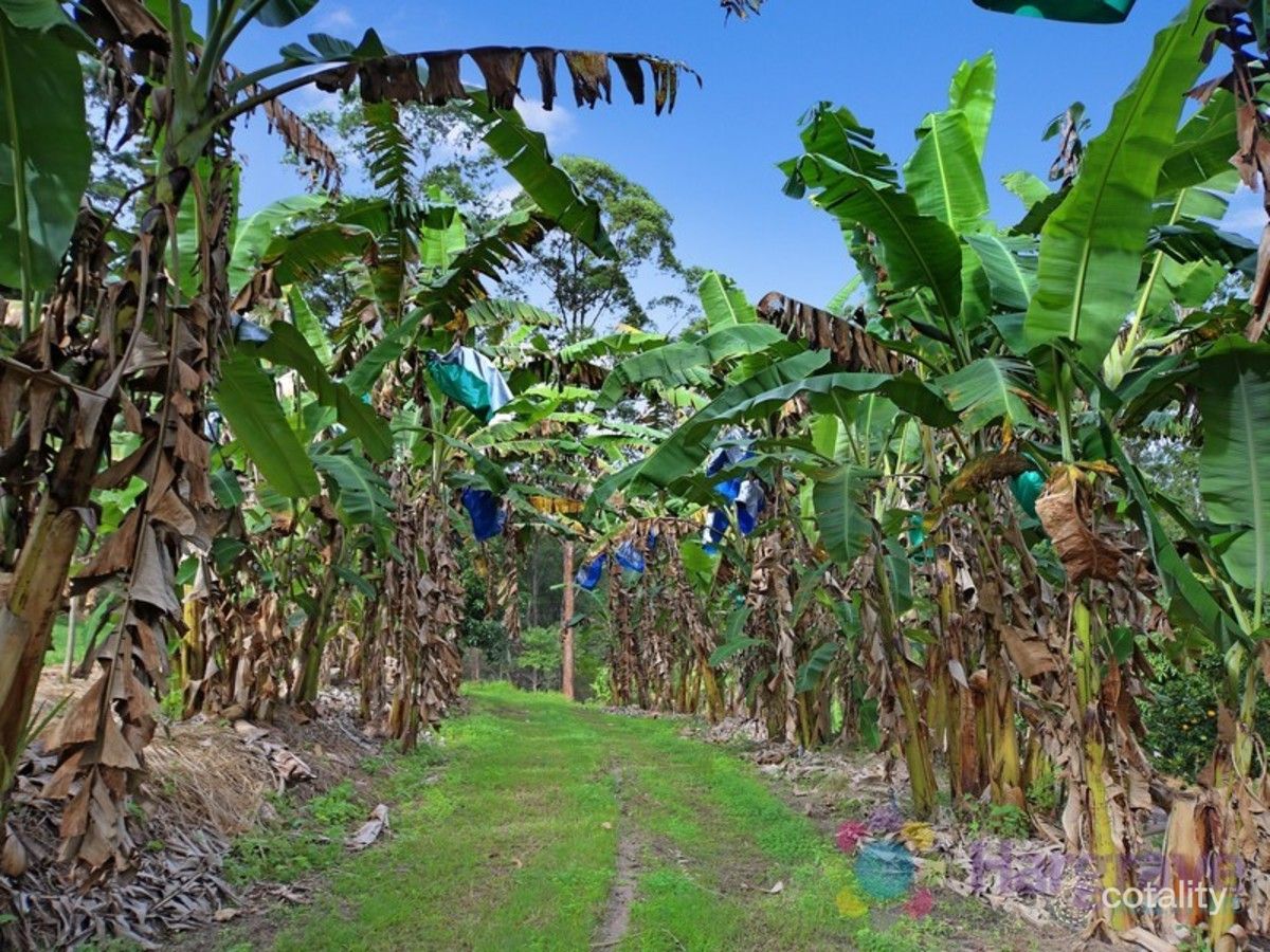 96 Davis Rd, Cootharaba, QLD 4565