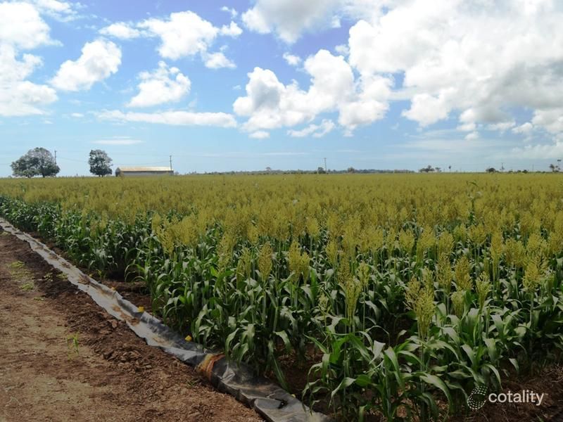 394 Ferguson Rd, Airdmillan, QLD 4807