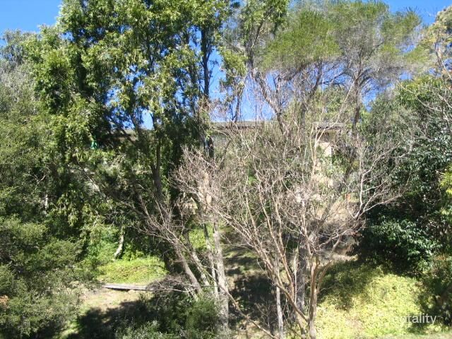 97 Iola Ave, Farmborough Heights, NSW 2526