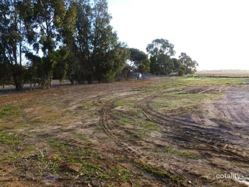 56 Tumby Bay Rd, Cummins, SA 5631