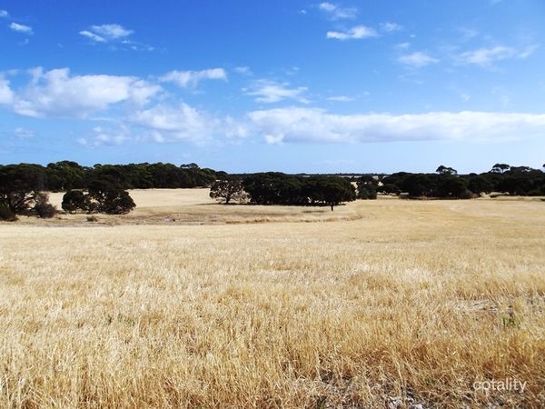 254 Reo Rd, The Pines, SA 5577