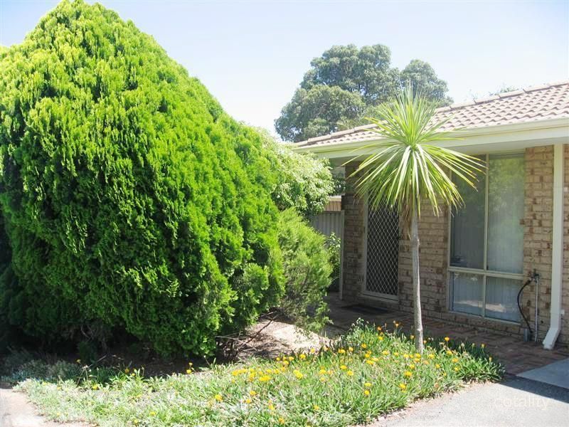 22/208 Burslem Dr, Maddington, WA 6109