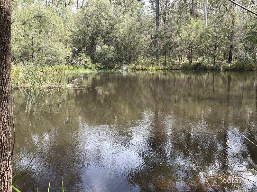 310 Upper Smiths Creek Rd, Kundabung, NSW 2441